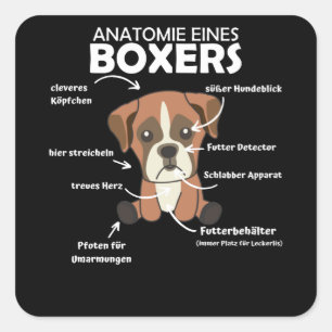 Anatomy Of A Boxer Sweet Dog Puppy Square Sticker