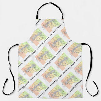 Anatomy Of A Builder Worker Ant Anatomy Apron