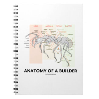 Anatomy Of A Builder (Worker Ant Anatomy) Notebook