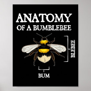 Anatomy Of A Bumblebee Funny Sarcastic Humour Quot Poster