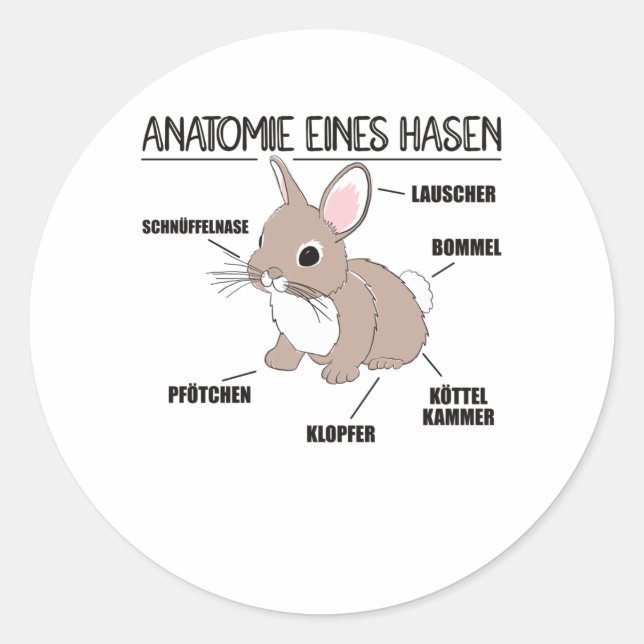 Anatomy Of A Bunny Funny Knob Explanation Classic Round Sticker (Front)