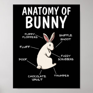 Anatomy of a Bunny Funny Rabbit Definition Poster