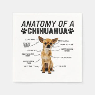 anatomy of a chihuahua dog animals lover owner man napkin