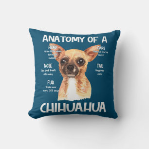 Anatomy Of A Chihuahua For Dog Lovers Cushion