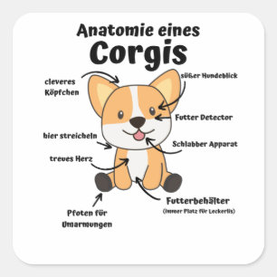 Anatomy Of A Corgi Cute Dogs Funny Puppy Square Sticker
