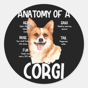 Anatomy Of A Corgi For Dog Lovers Classic Round Sticker