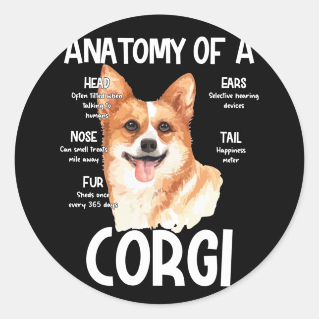 Anatomy Of A Corgi For Dog Lovers Classic Round Sticker (Front)