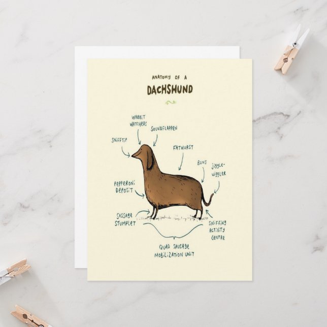 Anatomy Of A Dachshund | Dachshund Dog Lovers (Front/Back In Situ)
