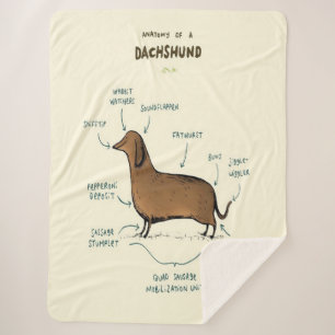 Anatomy Of A Dachshund Dachshund Dog Lovers Sherpa Blanket