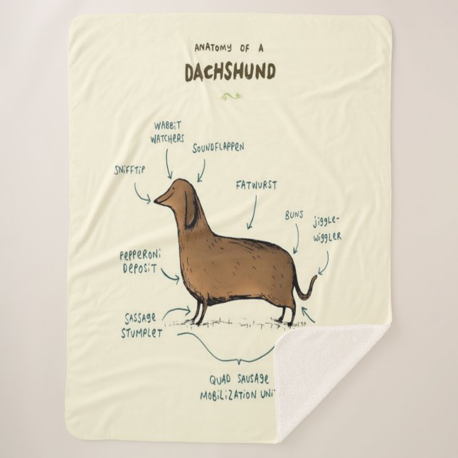 Anatomy Of A Dachshund | Dachshund Dog Lovers Sherpa Blanket (Front)