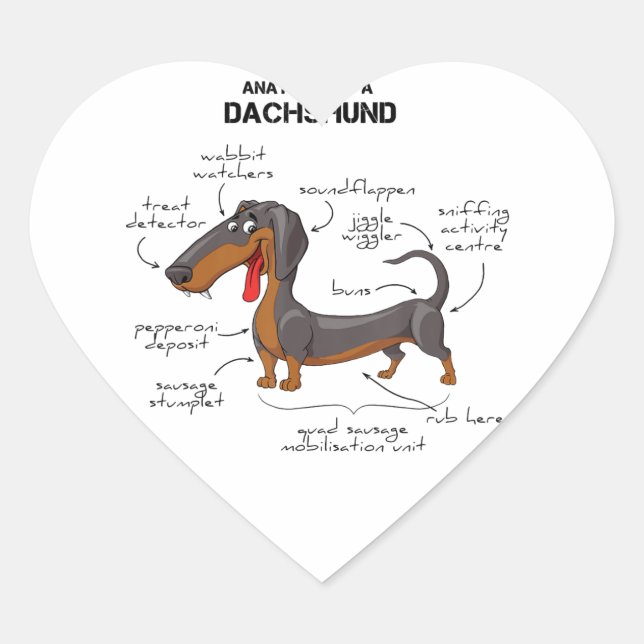 Anatomy Of A Dachshund - Funny Dog Heart Sticker (Front)