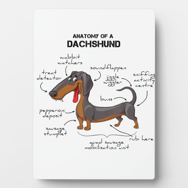 Anatomy Of A Dachshund - Funny Dog Plaque (Front)