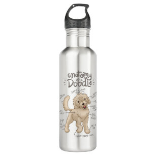 Anatomy of a Doodle Dog 710 Ml Water Bottle