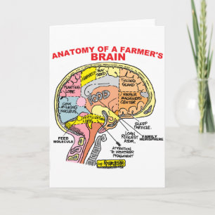 ANATOMY OF A FARMER'S BRAIN CARD
