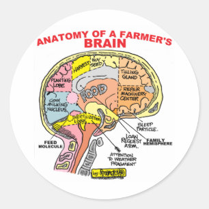 ANATOMY OF A FARMER'S BRAIN CLASSIC ROUND STICKER