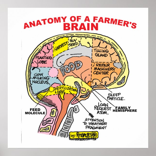 ANATOMY OF A FARMER'S BRAIN POSTER (Front)