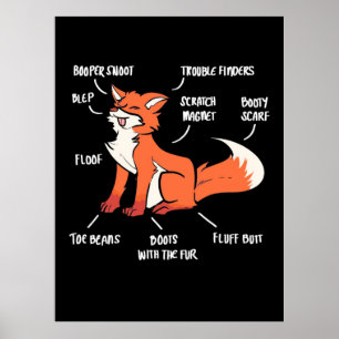 Anatomy Of A Fox Poster
