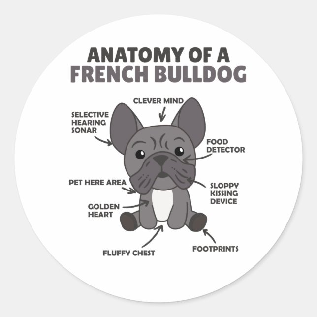 Anatomy Of A French Bulldog Dogs Funny Puppy Classic Round Sticker (Front)