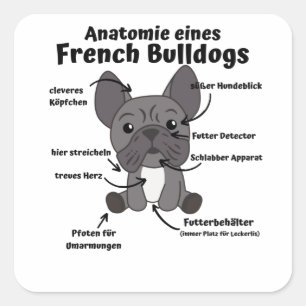 Anatomy Of A French Bulldog Dogs Funny Puppy Square Sticker