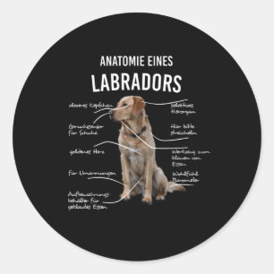 Anatomy Of A Funny Labrador Retriever Dog Classic Round Sticker