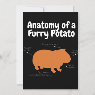 Anatomy Of A Furry Potato | Cute Guinea Pig Announcement