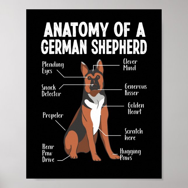 Anatomy Of a German Shepherd  Dog Mum Poster (Front)