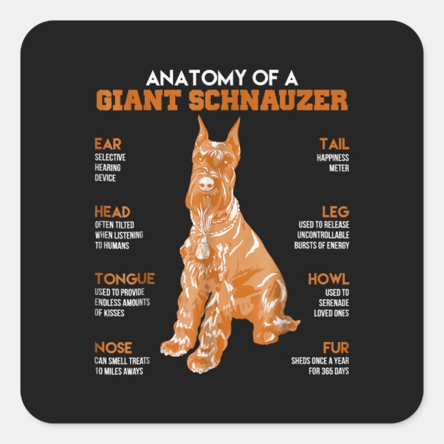 Anatomy Of A Giant Schnauzer Dogs Funny Gift Square Sticker (Front)