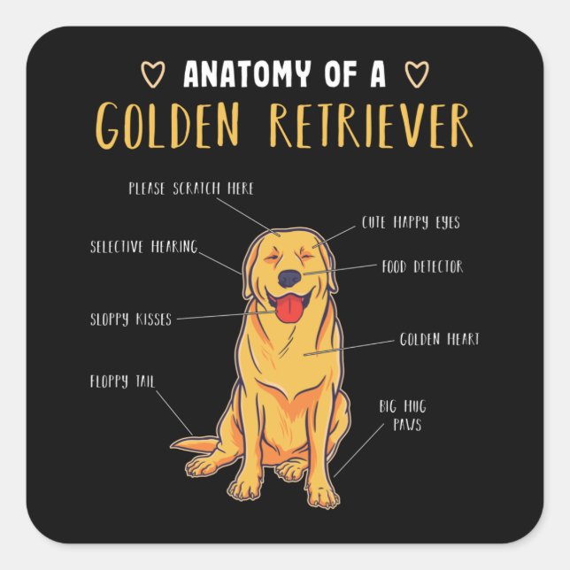 Anatomy of a Golden Retriever Funny Gift Square Sticker (Front)