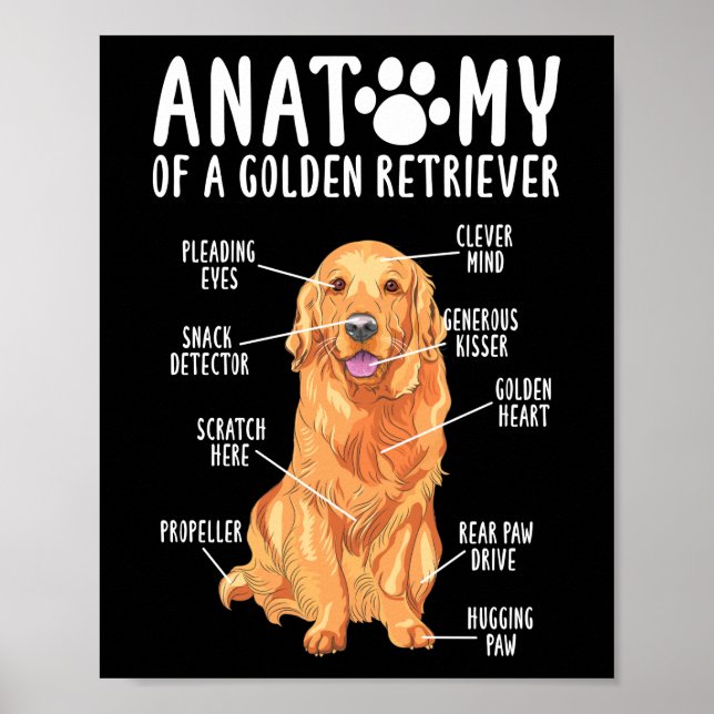 Anatomy of a Golden Retriever Mum Dad Poster (Front)
