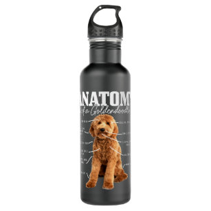 Anatomy Of A Goldendoodle Funny Cute Dog Doodle Mo 710 Ml Water Bottle