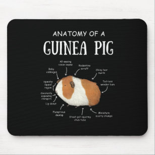 Anatomy Of A Guinea Pig Mouse Mat