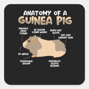 Anatomy of a Guinea Pig Square Sticker