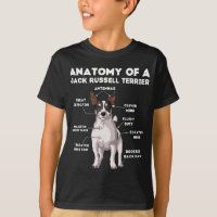 Anatomy of a Jack Russell Terrier