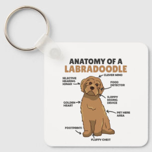 Anatomy Of A Labradoodle Cute Canine Puppy Key Ring