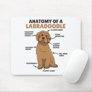 Anatomy Of A Labradoodle Cute Canine Puppy Mouse Mat