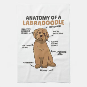 Anatomy Of A Labradoodle Cute Canine Puppy Tea Towel
