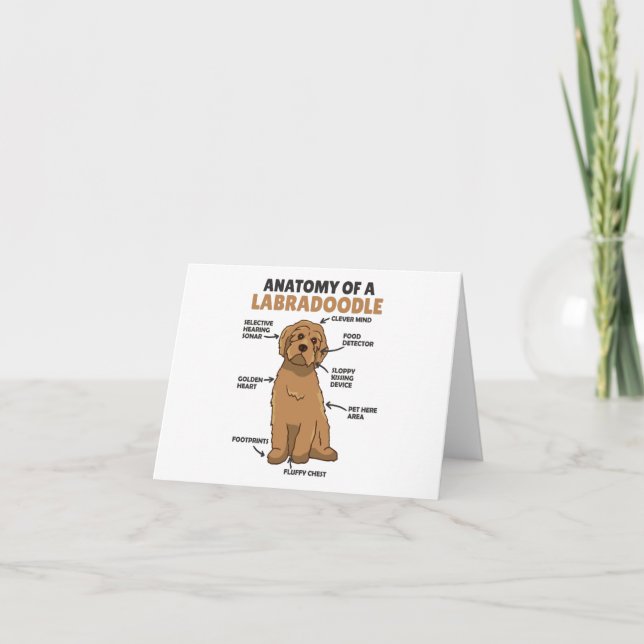 Anatomy Of A Labradoodle Cute Canine Puppy Thank You Card (Front)