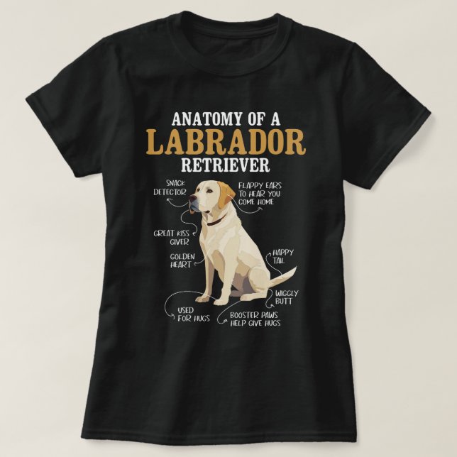 Anatomy Of A Labrador Retriever Puppy Owner Dog Lo T-Shirt (Design Front)