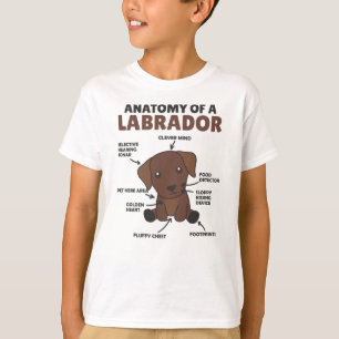 Anatomy Of A Labrador Retriever Sweet Dogs T-Shirt