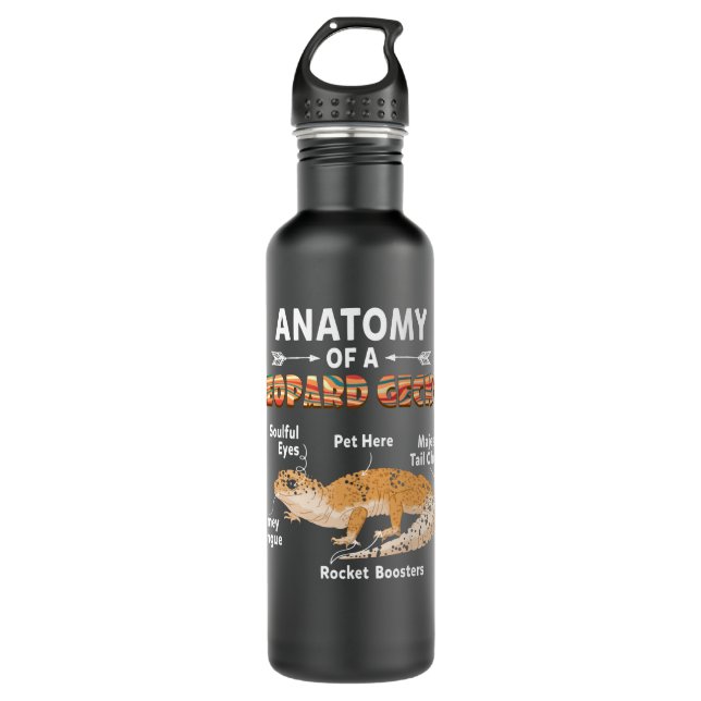 Anatomy Of A Leopard Gecko 710 Ml Water Bottle (Front)