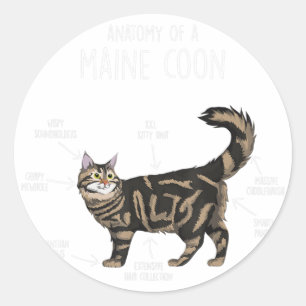 Anatomy of a Maine Coon Cat  Classic Round Sticker
