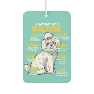 anatomy of a maltese  dog lover  car air freshener