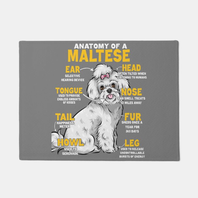 anatomy of a maltese  dog lover  doormat (Front)