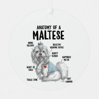 Anatomy of A Maltese Dog Owner Puppy Funny Cute T- Metal Tree Decoration