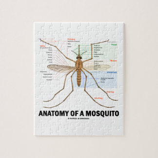 Anatomy Of A Mosquito (Entomology) Jigsaw Puzzle