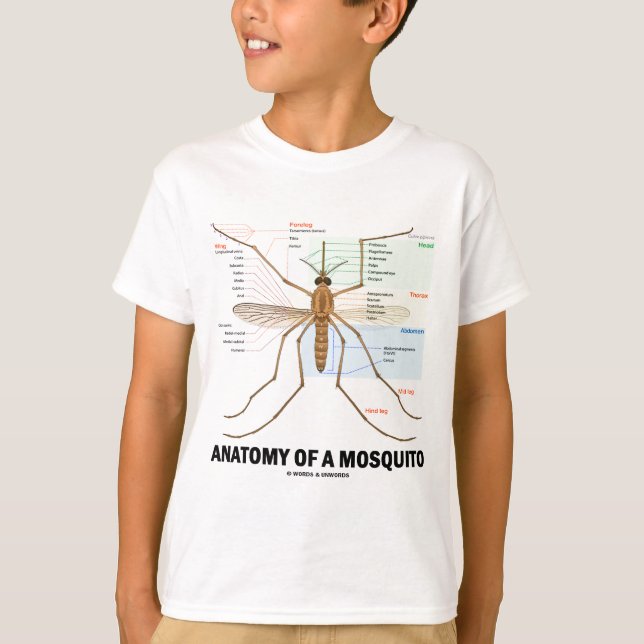 Anatomy Of A Mosquito T-Shirt (Front)