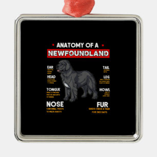 Anatomy Of A Newfoundland Dogs Lovers Metal Tree Decoration