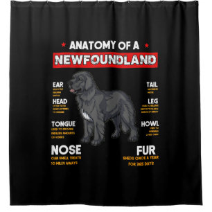 Anatomy Of A Newfoundland Dogs Lovers Shower Curtain