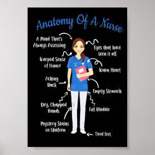 Anatomy Of A Nurse Poster