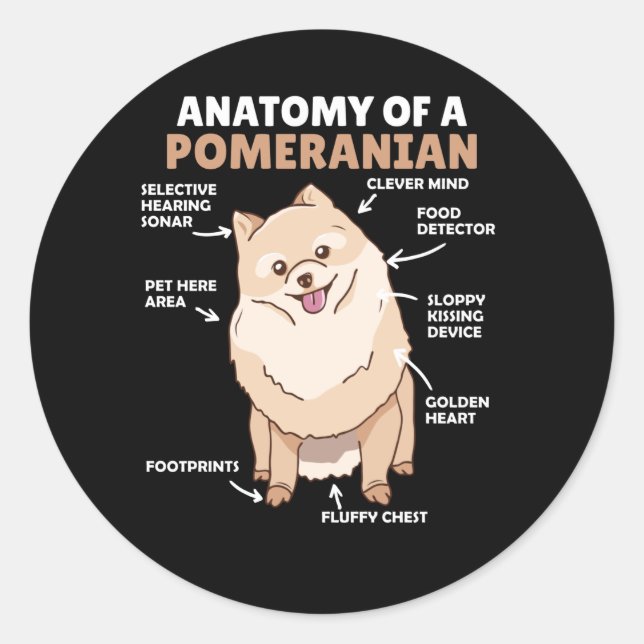 Anatomy Of A Pomeranian Cute Dog Puppy Classic Round Sticker (Front)